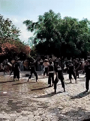Crew performs whip demonstration for outdoor crowd