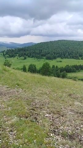 The video captures a panoramic view of a lush green valley with rolling hills and a dense forest covering the slopes of a large hill. The sky is overcast with dramatic clouds. In the foreground, a grassy slope with scattered pebbles and dry vegetation leads down into the valley. A person wearing a backpack and an orange jacket is visible walking away from the camera on the right side of the frame, descending into the valley. The overall impression is one of a natural, expansive landscape.