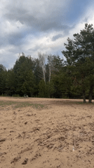 Dirt bike riders spotted in sandy clearing in Chaikovsky