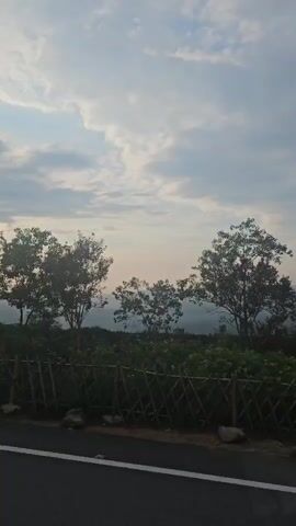 The video shows a view from a moving vehicle, likely a car, looking out at a landscape. In the foreground, a black asphalt road with a white line is visible. Beyond the road, there is a wooden fence, and behind the fence, there is lush green vegetation, possibly a field or garden, with some scattered white flowers. Several trees of varying sizes are scattered throughout the landscape. In the distance, there are rolling hills and mountains, and the sky is filled with scattered clouds, suggesting it might be early morning or late afternoon. A red bus is visible driving on a road in the middle distance, partially obscured by trees and vegetation. The overall impression is a scenic view from a drive through a rural or hilly area.