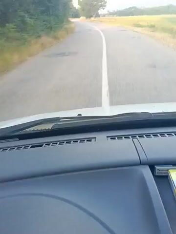 The video shows a point-of-view shot from inside a vehicle, looking out through the windshield at a rural road. The road is paved and has a white line marking the center. On the left side of the road, there is a dense line of green trees and tall dry grass. On the right side of the road, there is a field of dry yellow grass and some scattered trees. The sky is light blue with a hint of pink, suggesting it might be sunrise or sunset. The vehicle appears to be in motion, as the road and scenery are moving past. The dashboard of the vehicle is visible in the foreground. The video is short, lasting only a few seconds, and shows a continuous forward movement along the road.