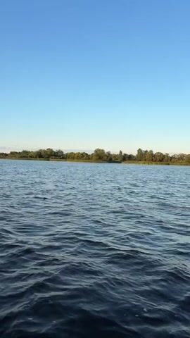 The video shows a body of water under a clear blue sky. The water is rippling, indicating movement, possibly from a boat. On the horizon, a line of trees suggests a shoreline. In the latter part of the video, a white wake is visible on the right side, confirming that a boat is moving through the water, creating the disturbance. The perspective is from inside or alongside the moving vessel.
