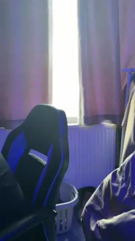 The camera pans slightly from behind a gaming chair to look out a window at a lawn. The lawn has a white bird on it. The bird walks a few steps, and then puts its head down.