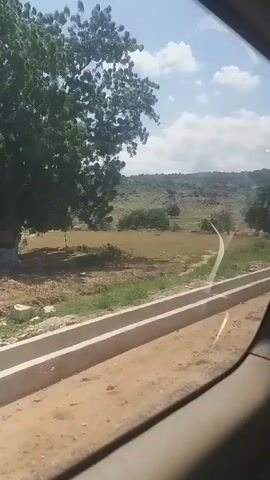 The video captures a view from inside a vehicle, looking out through the passenger side window at a rural landscape. The foreground shows a dirt road with a concrete structure, possibly a drain or curb, running alongside it. Beyond the road is a grassy field dotted with sparse vegetation and rocks. In the mid-ground, a large, leafy tree stands prominently on the left. Further back, rolling hills with scattered trees and bushes stretch towards the horizon under a partly cloudy sky. The camera appears to be moving, suggesting the vehicle is in motion.