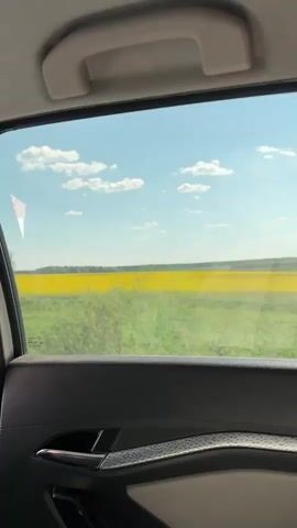 The video shows a view from inside a car looking out the window. The window frame is visible in the foreground, while the background features a bright yellow field under a blue sky with scattered white clouds. Trees are interspersed along the edge of the field. The camera is moving, creating a sense of travel.