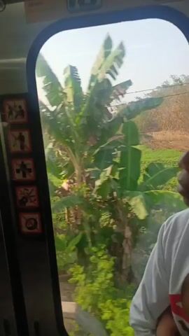 The video is shot from inside a train car, looking out of a window. A person, appearing to be male, is visible in the right side of the frame, looking out the window. The person is wearing a white sweatshirt with red trim. The window reveals a landscape of green fields and some buildings under construction in the distance. There are several warning symbols visible on the left side of the door frame. The train appears to be moving, as the landscape outside is blurred in some sections of the video. The lighting suggests it is daytime, possibly morning or afternoon.