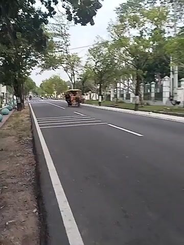 A horse-drawn carriage moves from right to left across a multi-lane road. The carriage is yellow with a decorated canopy and has several passengers. The horse pulling the carriage is dark brown and wears a red bridle. The road is paved and has white lane markings. There are trees and buildings lining the road on both sides. The sky is overcast.