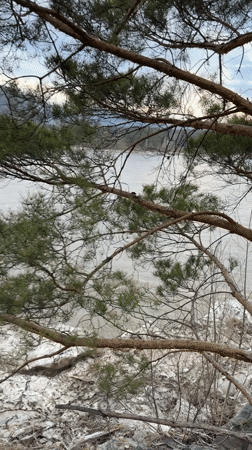 Spring river conditions documented in Abaza, Russia