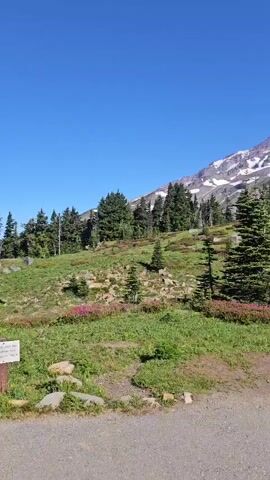 The video shows a scenic mountain landscape with a clear blue sky. In the foreground, a gravel path winds through a grassy area dotted with small pink flowers and evergreen trees. In the distance, a majestic snow-capped mountain dominates the horizon. The camera pans across the scene, revealing more of the lush green hillsides and dense coniferous forests. Two people are seen walking on the path in the middle ground, enjoying the natural beauty. The sunlight beams down, casting long shadows and illuminating the landscape. The overall impression is one of tranquility and natural splendor.
