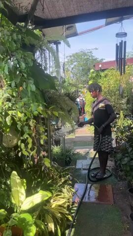 A person with dreadlocks and wearing a black t-shirt with graphics and patterned shorts is watering plants with a hose. The person is standing on a paved path surrounded by lush green foliage. The environment appears to be an outdoor garden or nursery, with various types of plants, some in pots, and hanging baskets. The sky is visible and appears to be clear and sunny. There is another person in the background with a backpack, walking away from the camera. Wind chimes are hanging from an overhead structure. The ground is wet, indicating recent watering.