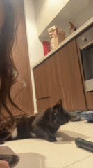 Woman films playful interaction with black cat in Dubai apartment