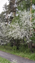 Casual afternoon scenes captured at Russian lakeside resort Zolotoi Plyazh
