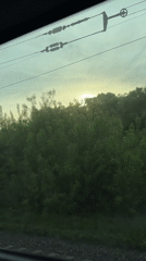 Train passenger films sunrise through trees near Malye Polyany