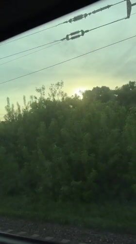 Train passenger films sunrise through trees near Malye Polyany