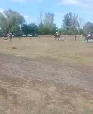 This is a video of an outdoor horse riding event. The scene is a dry, grassy field with some trees and a blue sky. There are several horses and riders in the field, participating in what appears to be a show jumping competition. There are also some cars parked in the background. The video begins with a wide shot of the field, showing several riders and horses. The camera then zooms in on one rider who is approaching a jump. The rider successfully clears the jump. The video continues to show other riders and horses, some of whom are also attempting to jump. The overall impression is that of a casual equestrian event taking place on a sunny day.