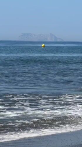 Estepona coast on a July morning: water, wildlife, and beach life