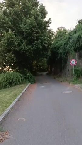 The video captures a stationary shot of a paved road surrounded by lush greenery. On the right side of the road, a stone wall is covered with vines, and a traffic sign displaying a symbol of a vehicle with a diagonal line through it, indicating a restriction or prohibition for vehicles, is visible. Further up the hill, a small windmill with visible blades can be seen peeking through the foliage. The overall impression is one of a quiet, natural setting, possibly a park or a rural area. The lighting suggests it is either early morning or late evening.