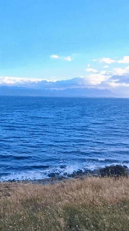 Scenic coastal views captured near Ushuaia, Argentina