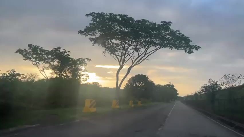 The video shows a view from inside a vehicle driving on a paved road. The sun is low in the sky, casting a warm glow and lens flares. The sky is partly cloudy with a mix of grey and lighter clouds. On the left side of the road, there are trees and vegetation, as well as two yellow and black striped traffic barriers. On the right side of the road, there is a fence and a grassy embankment. The road appears to be two lanes with a white line marking the center. The overall impression is of driving through a rural or semi-rural area at sunrise or sunset. There are no people visible in the video.