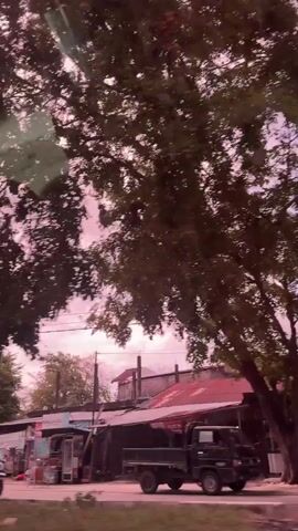 The video appears to be a collection of short clips shot from a moving vehicle, likely a car. The perspective is primarily looking out the window. The scene depicts a street or road with buildings and trees lining the sides. The sky has a distinct pinkish hue, suggesting it might be sunrise or sunset, or possibly an artificial filter applied to the footage. There are power lines visible in many of the shots. In some clips, there are glimpses of shops or small businesses with merchandise displayed outside. There are also vehicles, including a car and a motorcycle, on the road. One clip features a tall, cylindrical monument with intricate carvings or text on its surface, set on a circular base. The overall impression is of a somewhat rural or suburban setting with a unique sky color.