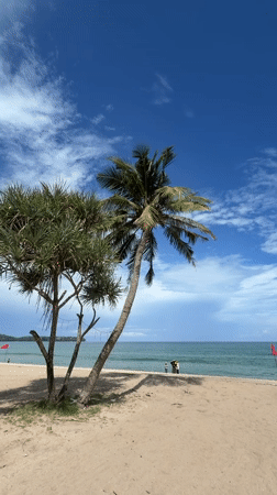 Beachside stop in Choeng Thale with Andaman Sea views