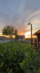 Dramatic sunset with rare mammatus clouds observed in Pchelnik, Bulgaria