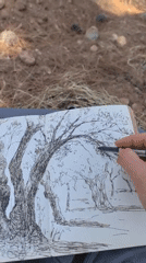 Ink sketches of Datça's forests and olive groves, drawn on location