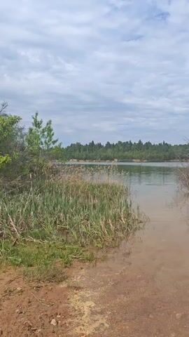 The video shows a view of a small lake or pond on a cloudy day. The water is murky and brown, with tall reeds growing along the shoreline. The shore is reddish-brown soil. In the distance, a line of trees forms a natural horizon. The sky is filled with fluffy, grey-white clouds, with small patches of blue visible. There are no people visible in the scene. The camera is static.