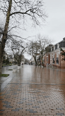 Morning architectural tour captures diverse Varna street scenes