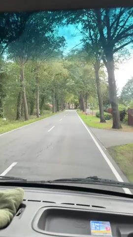 The video is filmed from the interior of a vehicle, looking out through the windshield. The view is of a paved road lined with trees that create a canopy over the road. The road has a white dashed line in the center, indicating it is a two-lane road. There are white lines marking the edges of the road. On the right side of the road, there is a grassy area and some fencing. On the left side, there are more trees and some houses with red roofs. The sky is visible through the tree canopy and appears to be overcast. The video is short, showing the vehicle moving forward along the tree-lined road. There are no people visible in the video.
