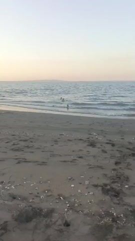 The video shows a sandy beach with footprints and scattered shells. Gentle waves lap at the shore, and in the distance, several people are swimming in the sea. The sky is a pale, hazy color, suggesting either dawn or dusk. The overall scene is calm and serene.