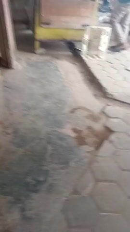 The video shows a person's feet and legs walking on a paved surface. The paving stones are hexagonal and grey. There are some broken sections in the paving. In the background, there is a motorcycle with bags hanging from it. There are also some people visible in the background. The overall scene appears to be an outdoor area, possibly a market or a street. The lighting suggests it is daytime.
