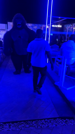 Gorilla-costumed performer entertains guests at Nigerian nightclub KRUISEYARD