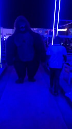 Gorilla-costumed performer entertains guests at Nigerian nightclub KRUISEYARD