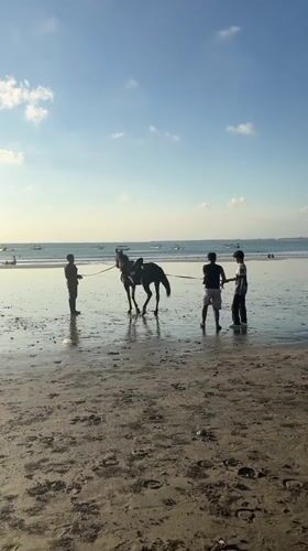 Horses, kayaks, and beach games at Kuta Selatan golden hour