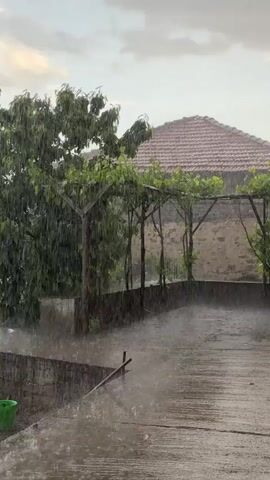 The video shows a heavy rainstorm in what appears to be a rural or suburban setting. The camera is static, focused on a concrete walkway or patio area. Rain is coming down in torrents, creating a misty effect close to the ground. To the left, there is a tree with green leaves. Behind the walkway is a low wall, and beyond that, a building with a red tile roof and a stone or brick facade. There is also a trellis with vines growing on it. In the foreground, near the edge of the walkway, a green bucket is visible. The overall impression is a scene of intense rainfall in a backyard or garden environment. The sky is overcast.