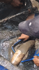 Fish farming operations underway at a rural Cijeruk aquaculture site