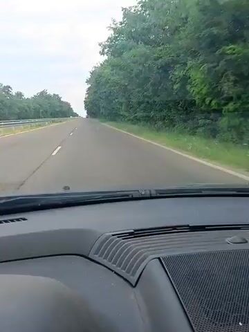 The video shows a first-person perspective from inside a car driving on a highway. The road is paved with white lane markings. On the right side of the road, there is a dense line of green trees and foliage. On the left side of the road, there are also trees and foliage, with what appears to be a guardrail in the distance. The sky is overcast and a light gray. The interior of the car's dashboard is visible in the foreground, with a textured surface and vents. The car appears to be moving at a consistent speed, with no other vehicles immediately close by.