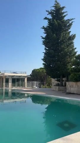 A video pans across a swimming pool and a modern building with large windows and balconies. A tall, green tree stands beside the pool, its reflection visible in the clear blue water. The sky is clear and blue.