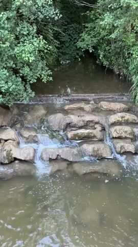 A steady stream of water flows over a tiered rock dam, creating a small waterfall effect. The water is a murky green color, and the rocks appear to be natural, unevenly stacked. Lush green trees and foliage line the banks of the stream, creating a shaded, natural environment. The overall impression is one of peaceful, flowing water in a wooded setting.