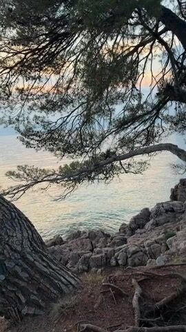 This video captures a tranquil scene by the sea in Sveti Vid-Miholjice, Croatia. The time of day appears to be late afternoon or early evening, with the soft light casting a warm glow on the water and the sky. The weather seems pleasant, with a gentle breeze implied by the swaying trees.

The scene is dominated by nature: a rocky coastline meets a calm, shimmering sea. Large, ancient trees with exposed roots anchor the foreground, their branches reaching out towards the water, creating a natural frame. The path winding along the coast is made of gravel and is lined with more trees and a stone wall.

The main activity shown is a person walking along the path, pushing a stroller. This suggests a peaceful outing, perhaps a family enjoying a leisurely stroll. The overall mood is serene and relaxed, evoking a sense of calm and natural beauty. There is no visible text in the video.