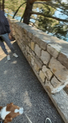 Dog walker spotted on scenic Montenegro coastal path