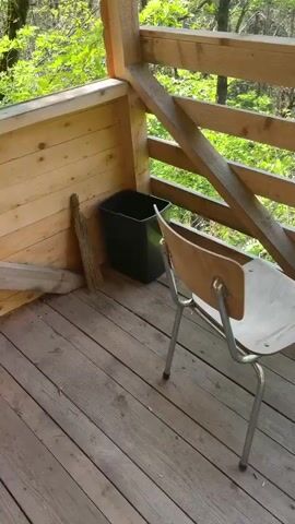 The video opens with a shot of a wooden balcony, then pans right to reveal a breathtaking mountainous landscape. Lush green trees and valleys stretch out under a bright blue sky dotted with fluffy white clouds, with snow-capped peaks visible in the distance. The sounds of birds chirping and people talking fill the air, creating a serene and inviting atmosphere.