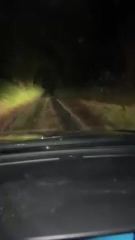 The view from the dashboard of a vehicle moving along a dirt road at night. The headlights illuminate the road ahead and the trees and greenery lining the sides. The windshield is wet with rain or dew. A rearview mirror can be briefly seen on the left. The road appears muddy and uneven.
