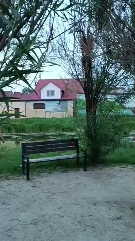 The video shows an outdoor scene with trees in the foreground. In the background, there are houses and a body of water with lily pads. A bench is visible on the left side of the frame. The sky is overcast. The camera pans across the scene, with a voice speaking Polish in the background.