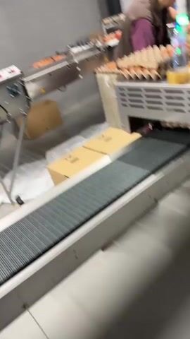 The video shows an automated egg-sorting line in what appears to be a large processing facility. The camera begins focused on a conveyor belt. As the camera moves, it reveals eggs moving along a red-framed conveyor belt, eventually reaching workers packing them into cartons. Boxes are positioned near the end of the line for packing. The environment is a large, industrial-looking room with grey walls, black support beams, and fluorescent lighting. The area appears clean and organized, with minimal clutter.