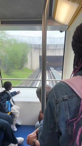 The video shows the interior of a train moving along train tracks. Inside the train, there are a few passengers. On the left side, a young child wearing a blue jacket and white pants sits by the window, looking out at the passing scenery. Next to the child, a man with gray hair is holding his face in his hands, seemingly tired. Another person's legs are visible on the edge of the shot. On the right side, a person with braided hair, dyed with pink highlights, is holding onto a metal pole. They are wearing a denim jacket and a pink backpack. The train is moving through a green area, visible through the window, with trees and a bridge overhead. The train tracks are visible outside. There is a no smoking sign on the roof.