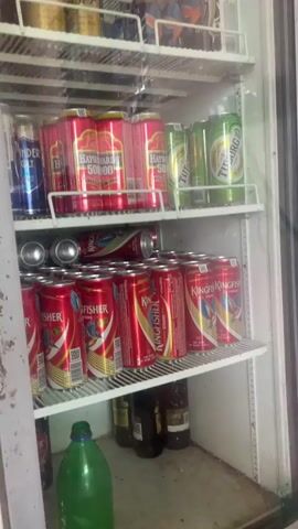 This is a video of the inside of a refrigerator filled with beverages, primarily canned drinks. The shelves are organized with different brands of beer. On the top shelf, there are a few bottles of an amber-colored liquid. The second shelf from the top has cans of what appear to be beer, some gold and some red with the brand name "Haywards 5000" visible. The third shelf is packed with red cans of "Kingfisher" beer and some green cans, possibly "Tuborg". The bottom shelf is mostly obscured, but it appears to contain more bottles and cans. The refrigerator itself looks aged and slightly worn on the exterior.