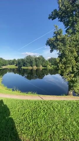 A vertical, outdoor video captures a serene lake scene under a clear blue sky with wispy white clouds and contrails. Lush green grass covers the foreground and the bank of the lake, with a curved pathway visible in the lower left. A large, leafy tree dominates the right side of the frame. The dark, still water of the lake perfectly reflects the surrounding trees and the sky. In the distance, across the lake, is a line of trees with a structure or buildings partially visible among them. The sun appears to be casting shadows of people in the foreground.