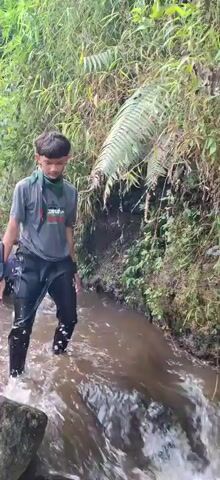 A group of young people, appearing to be in a scout or similar outdoor activity, are wading through a shallow, rocky stream. The water is murky brown, and the stream banks are overgrown with lush green vegetation, including ferns and bamboo-like stalks. The individuals are mostly wearing t-shirts and pants, with some of their clothing appearing wet. One individual in the foreground is carrying a shoe in their hand. The overall impression is one of a challenging but likely recreational outdoor adventure.